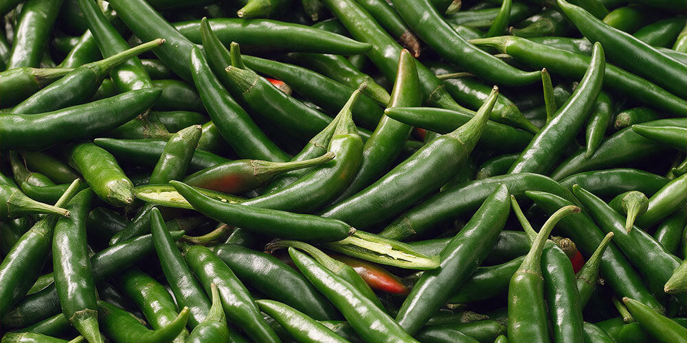 Fresh green serrano peppers